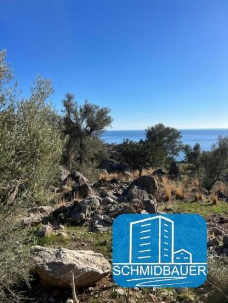 Agios Georgios bei Agia Galini Kreta, Agios Georgios: Grundstück mit Baugenehmigung für drei Häuser und einen Swimmingpool Grundstück kaufen